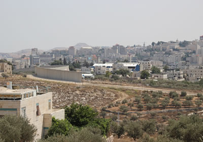 入植地から西岸地区をみる。手前にあるのはパレスチナ人の家。壁が分断してしまった。オリーブ畑も分断されている。